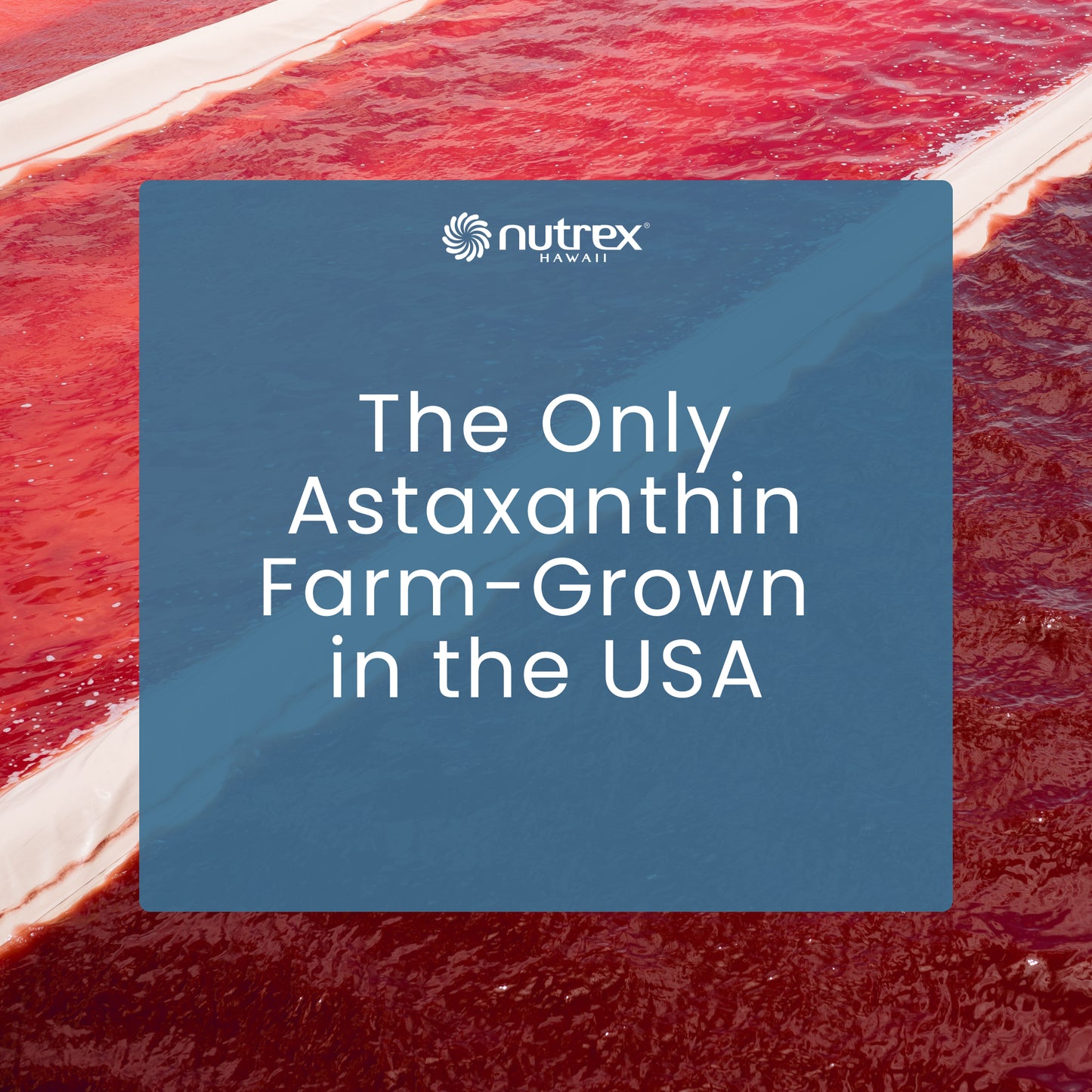 BioAstin Supreme Astaxanthin, 6 mg