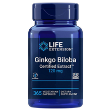 Ginkgo biloba, 120 mg