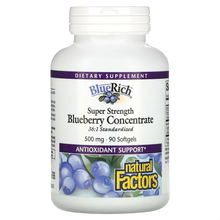 Super Strength Blueberry Concentrate, 500mg
