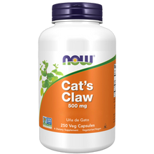Cat's Claw, 500 mg