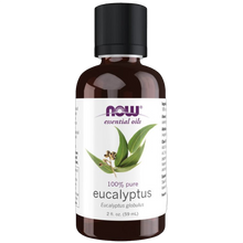 Eucalyptus Oil