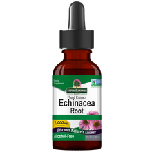 Raíz de equinácea (Echinacea), sin alcohol, 1000 mg