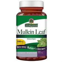Mullein Leaf, 500mg