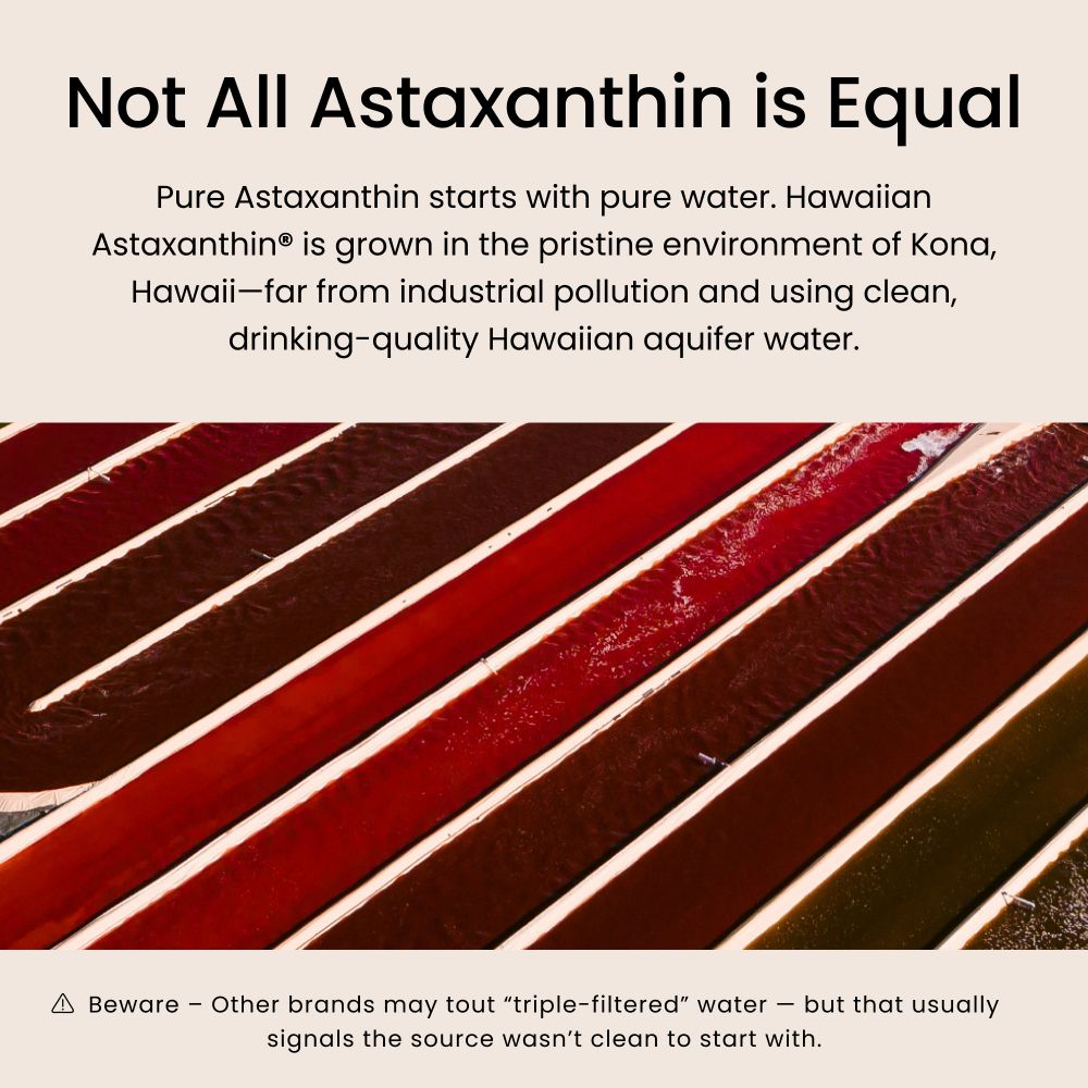 Vegan Astin, Astaxantina hawaiana, 4 mg