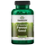 Fennel Seed, Graines de fenouil, 480 mg